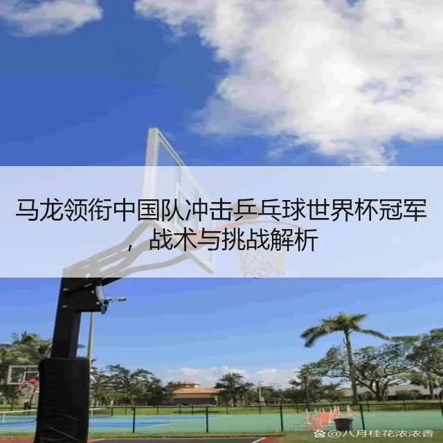 马龙领衔中国队冲击乒乓球世界杯冠军,战术与挑战解析